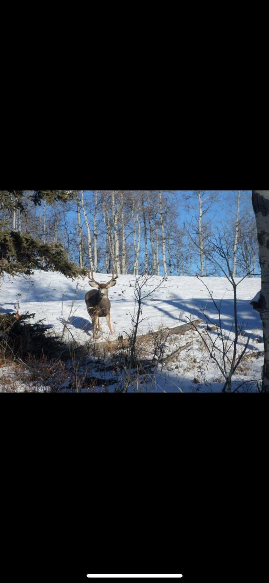 Вилла Heart West Haven Priddis Экстерьер фото